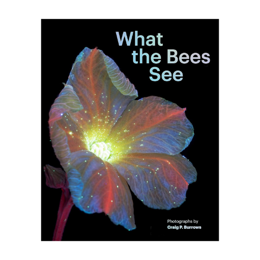 What the Bees See