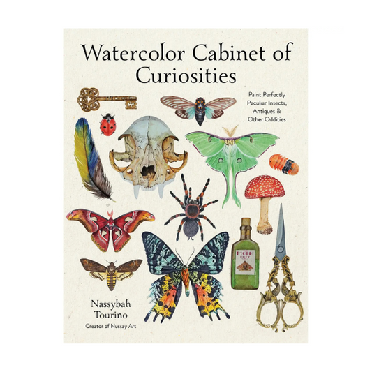 Watercolor Cabinet of Curiosities