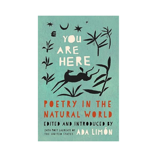 You Are Here