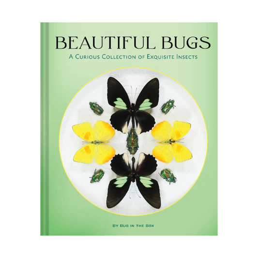 Beautiful Bugs