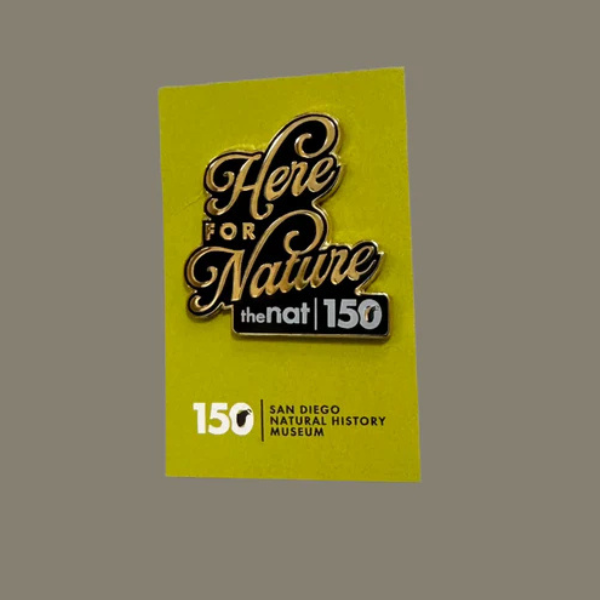 NAT 150th Pin