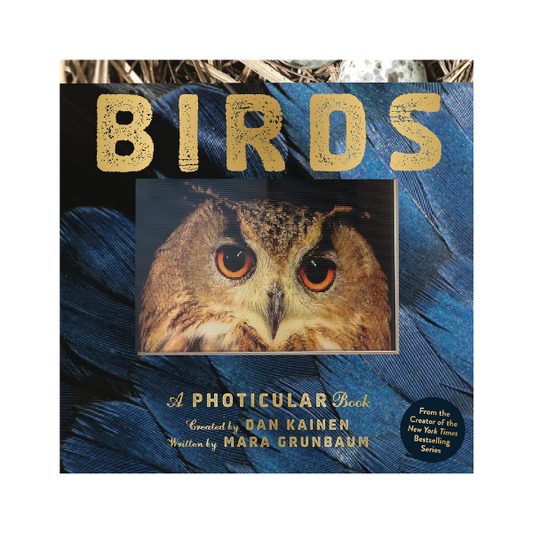 Birds: A Photicular Book