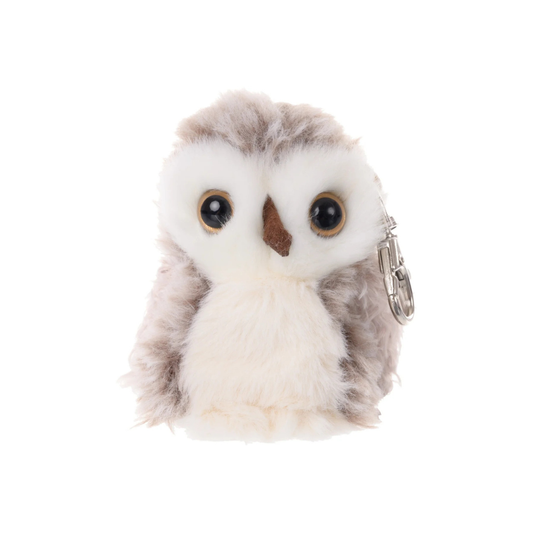 HooHoo Owl Charm