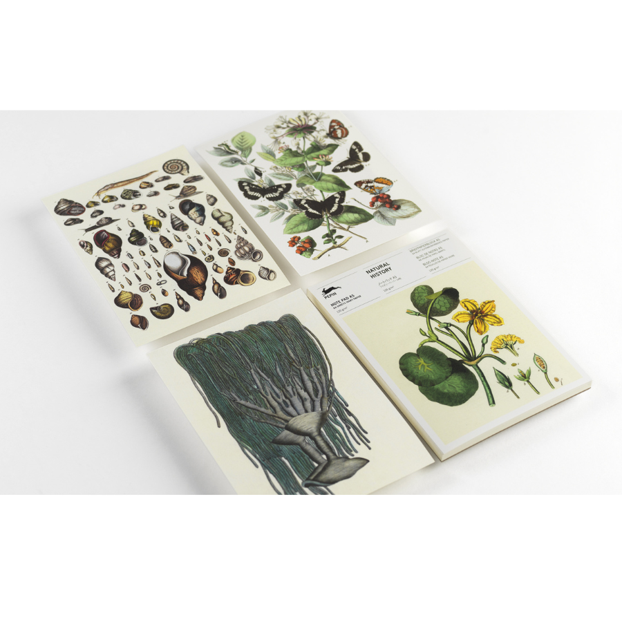 A5 Note Pad