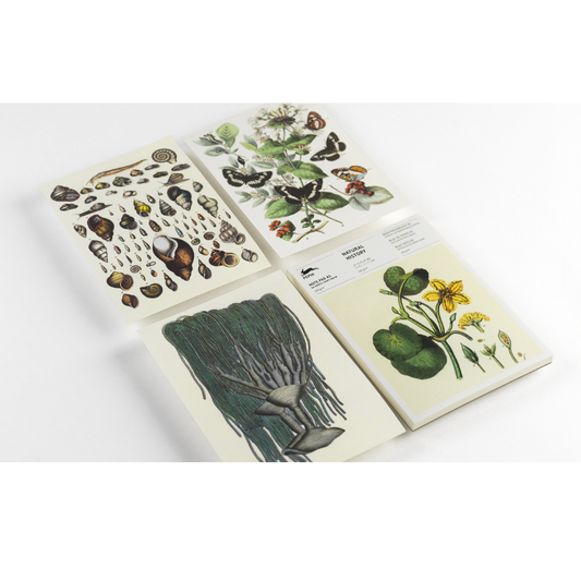 A5 Note Pad