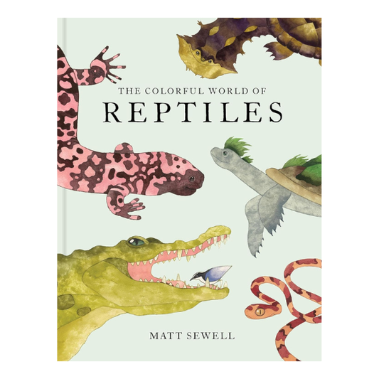 The Colorful World of Reptiles
