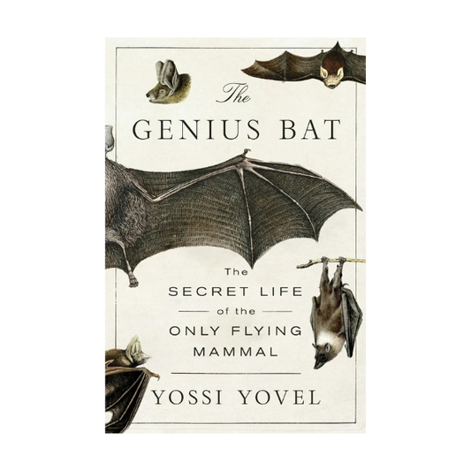 The Genius Bat: The Secret Life of the Only Flying Mammal