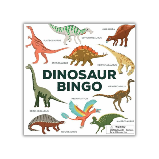 Dinosaur Bingo