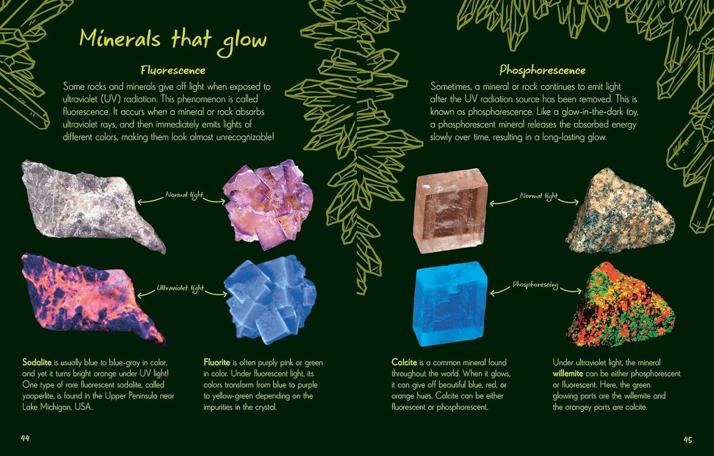 Anthology of Rocks & Minerals