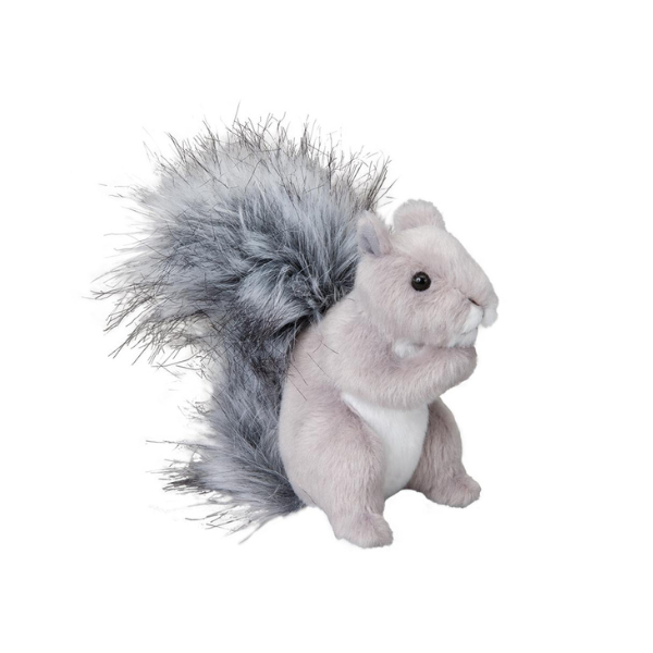 Shasta Grey Squirrel
