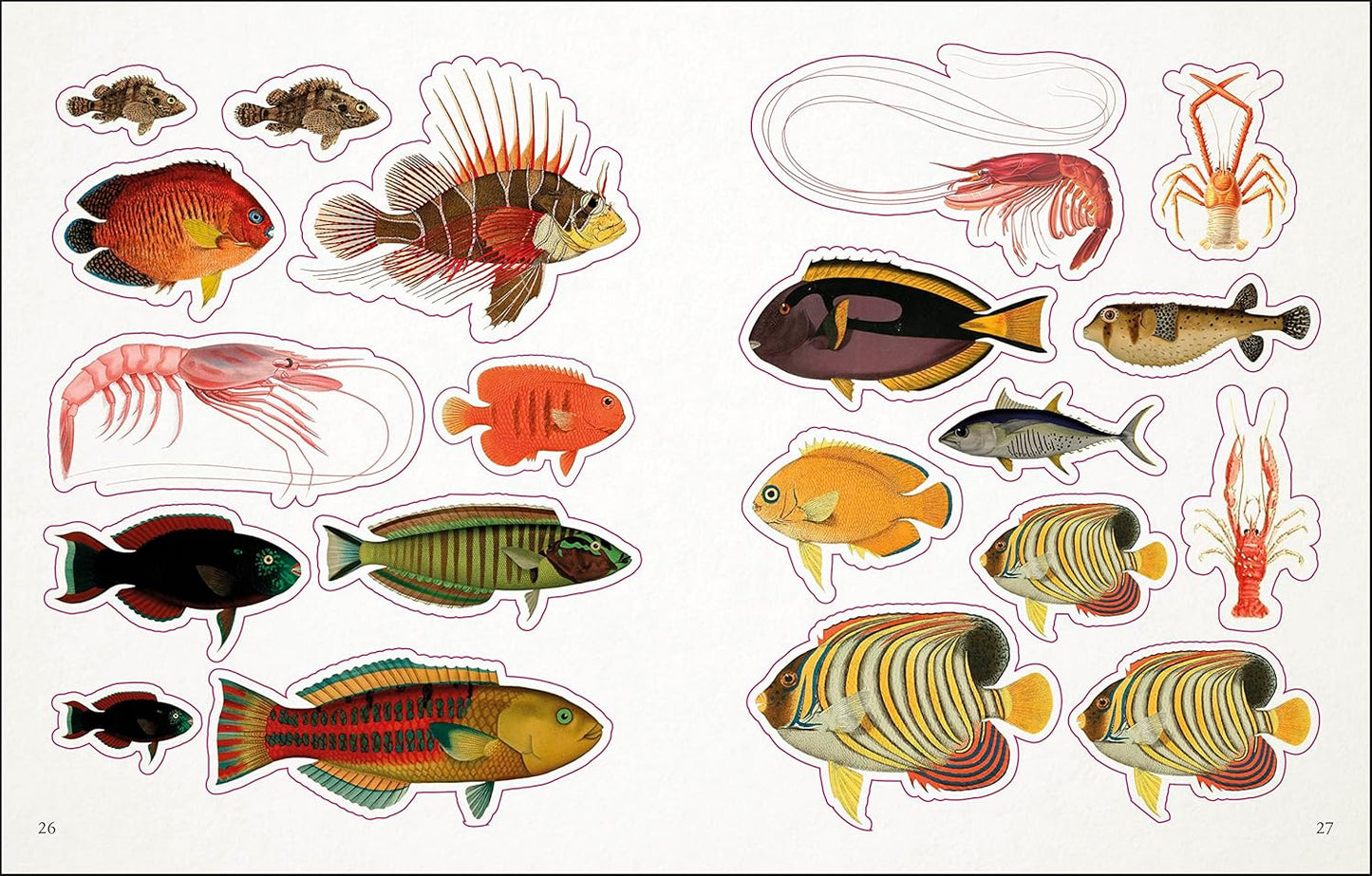 The Seashore Sticker Anthology
