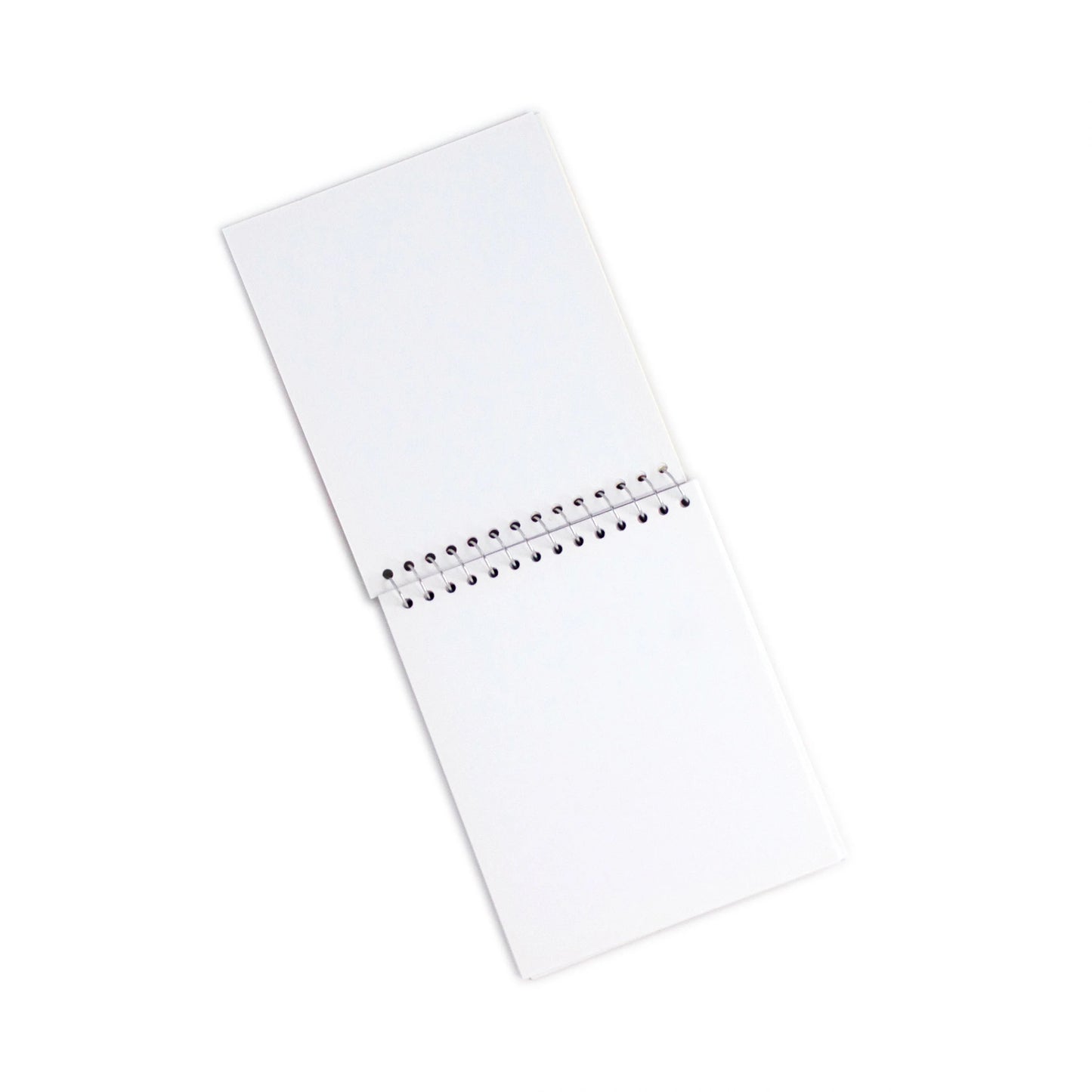 Small Dinosaur Sketchbook