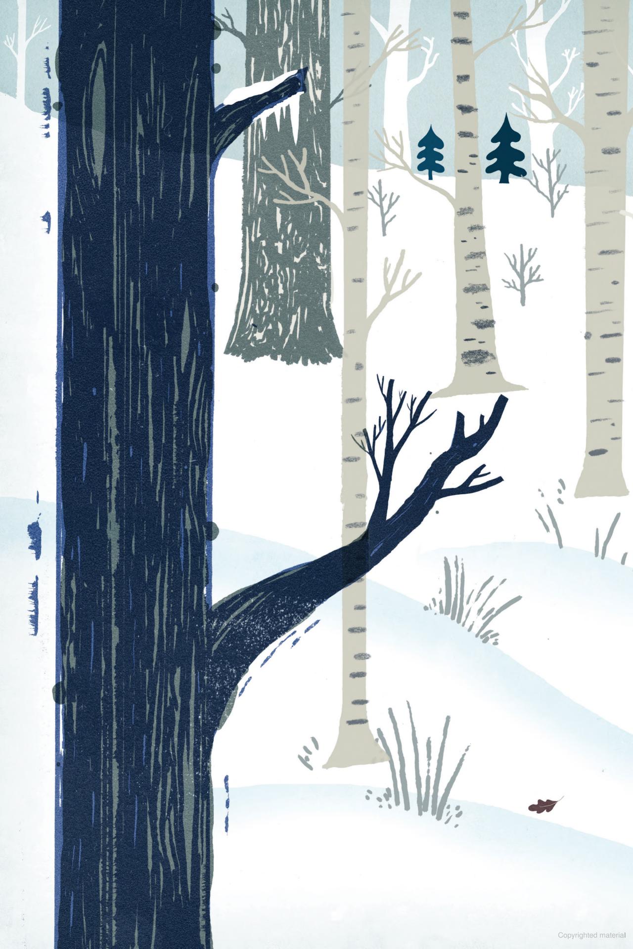 Over and Under the Snow