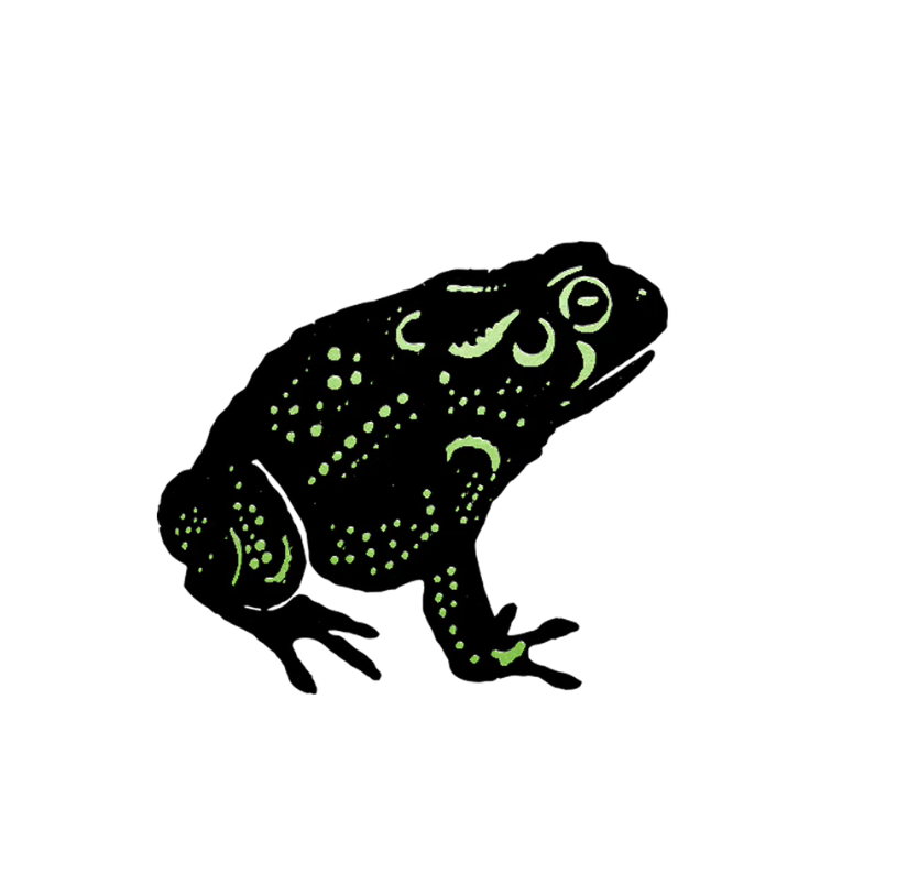 Nature Temporary Tattoo Pair