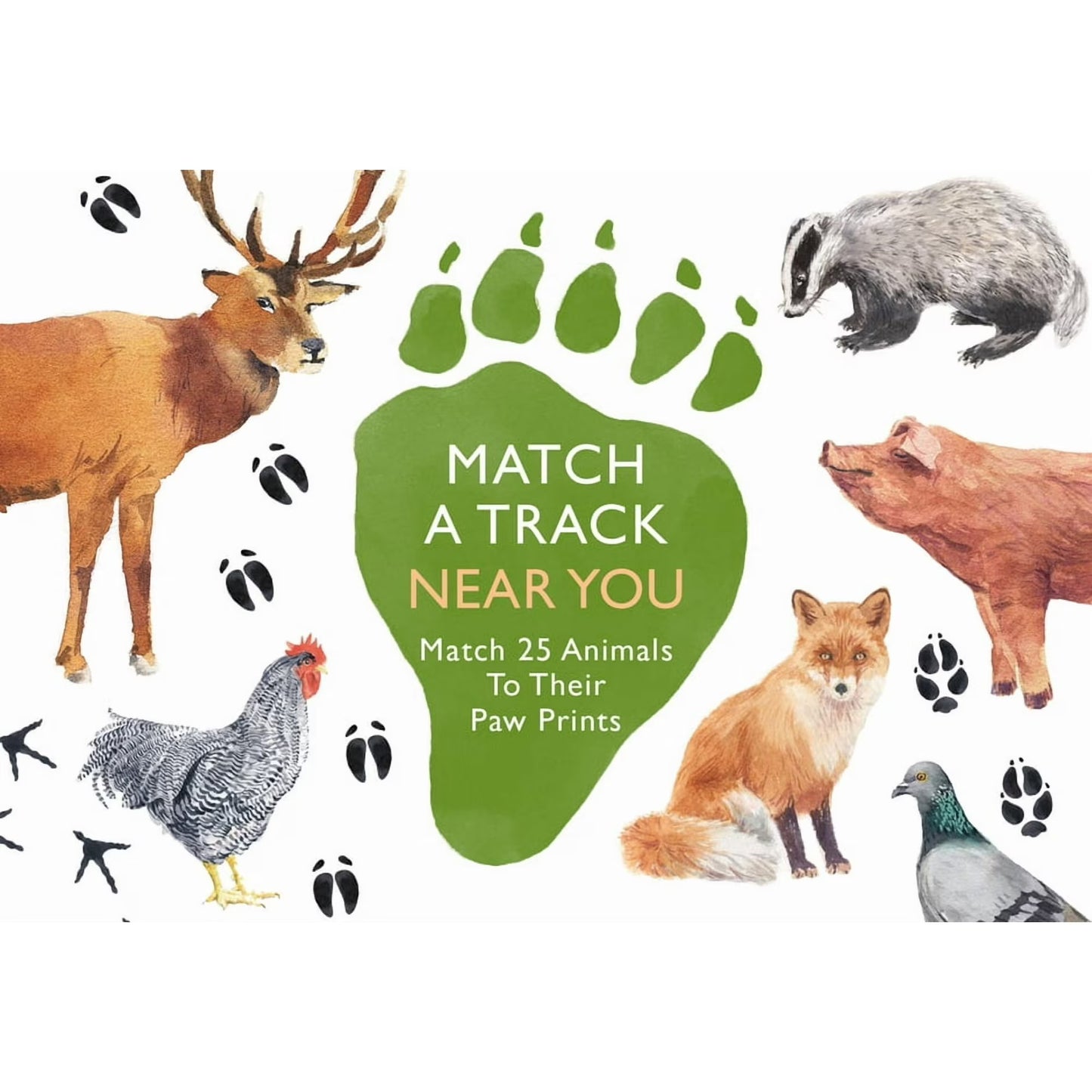 Nature Matching Memory Game